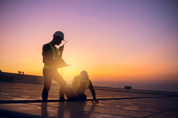 Best Roof Gutter Cleaning  in College, AK