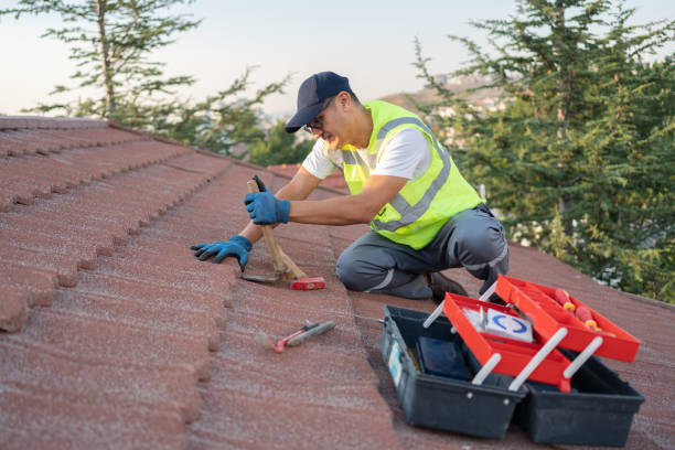 Best Best Roofing Contractors  in College, AK
