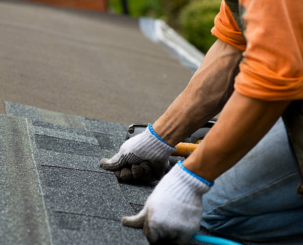 Best Metal Roofing Contractor  in College, AK