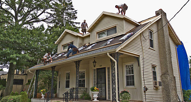 Best Storm Damage Roof Repair  in College, AK