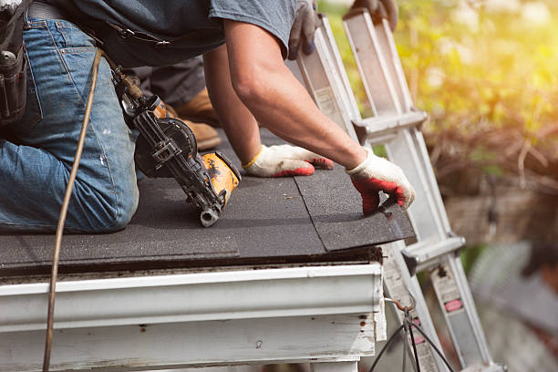 Best Roof Leak Repair  in College, AK