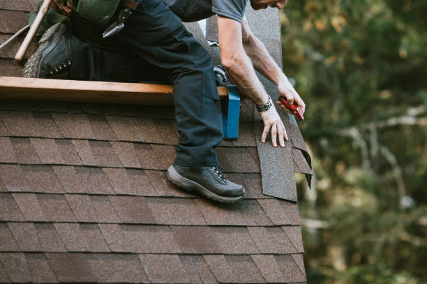 Best Shingle Roofing Installation  in College, AK