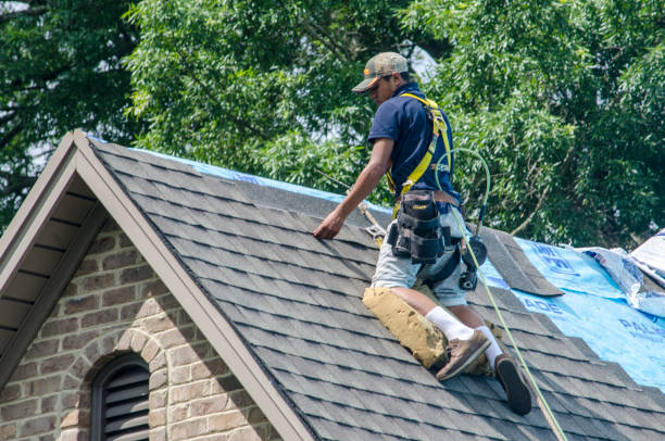 Best New Roof Installation  in College, AK